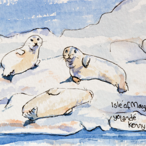 Signed Limited Edition Print 'Three Seals'